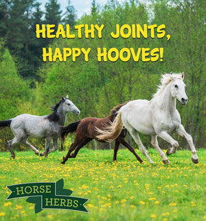 
                  
                    Horse Herbs Microbiome Boost - Pre, Pro & Postbiotic Gut Health
                  
                