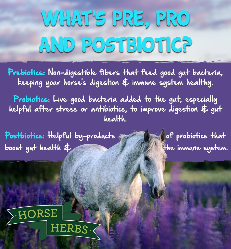 
                  
                    Horse Herbs Microbiome Boost - Pre, Pro & Postbiotic Gut Health
                  
                