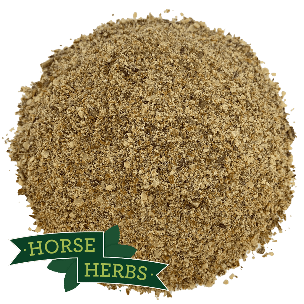 Horse Herbs Milk Thistle Seed Powder