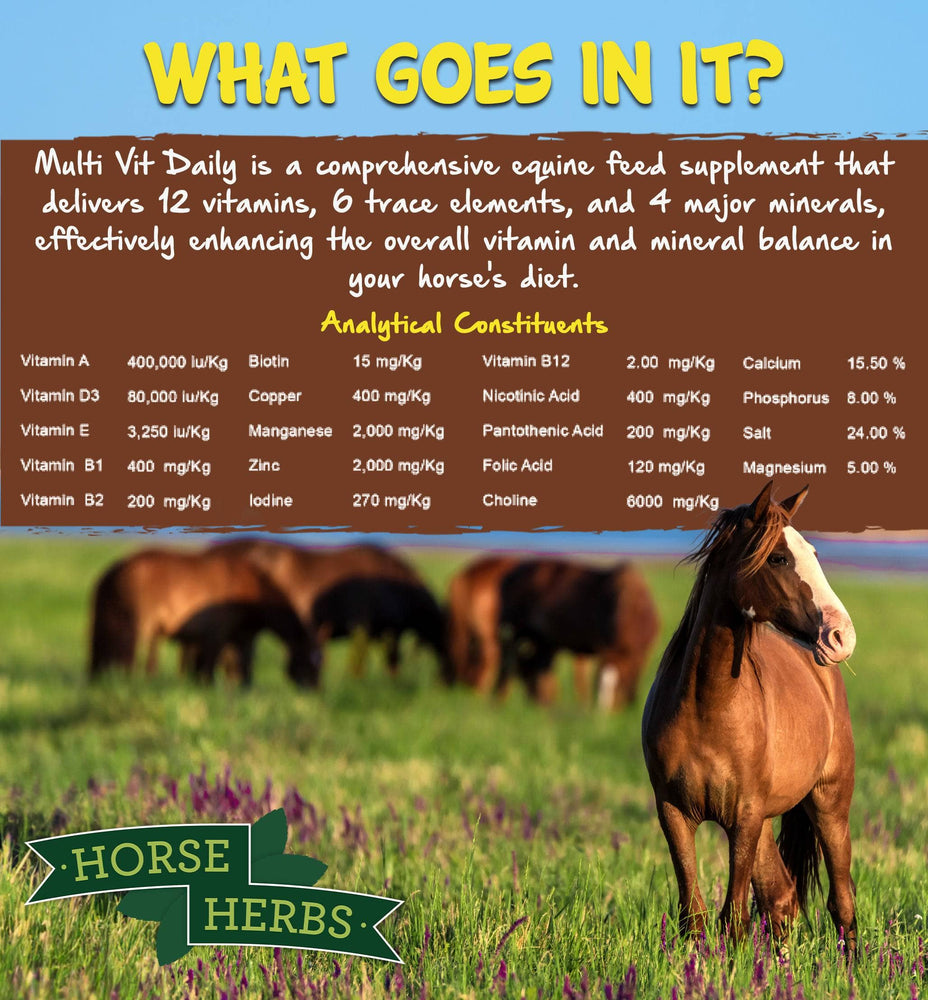 
                  
                    Horse Herbs Multi Vit Daily
                  
                