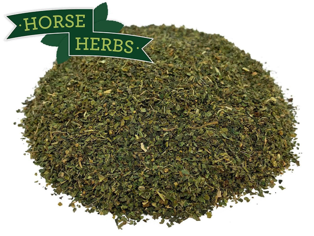 
                  
                    Horse Herbs Nettle Leaf - Cut
                  
                