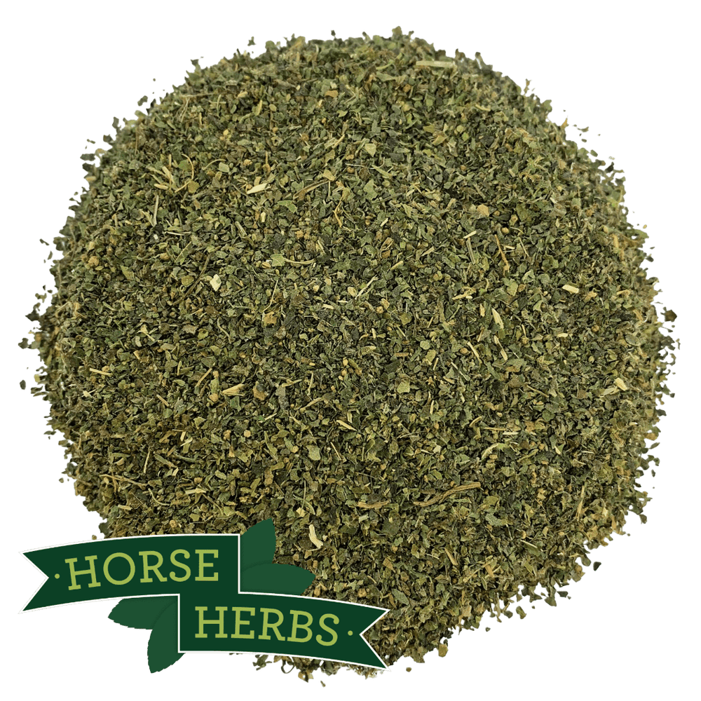 Horse Herbs Nettle Leaf - Cut