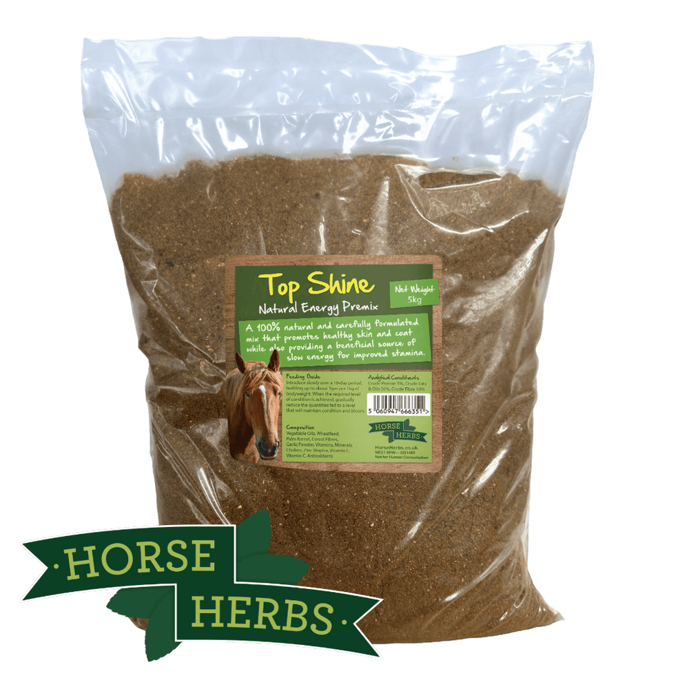 Horse Herbs Top Shine