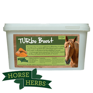 
                  
                    Horse Herbs TURbo Boost
                  
                