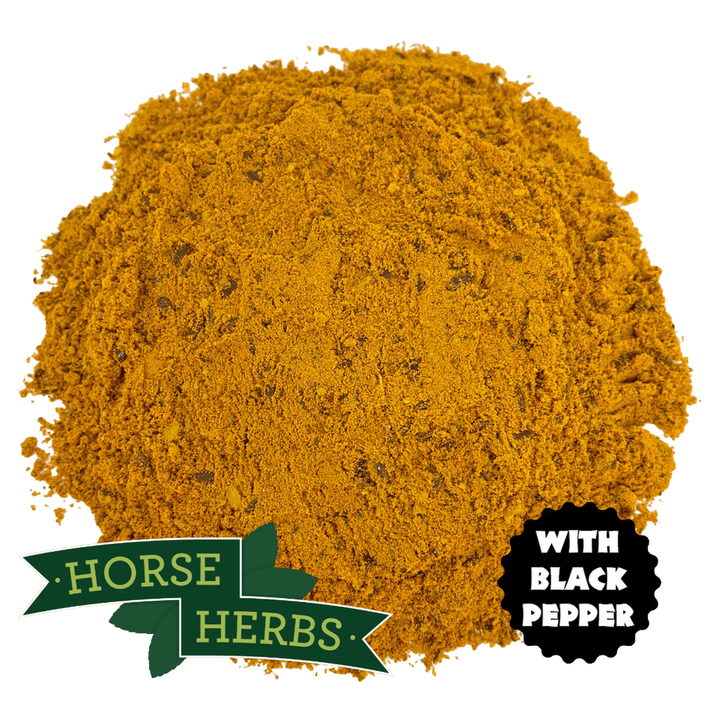 Horse Herbs Turmeric PLUS