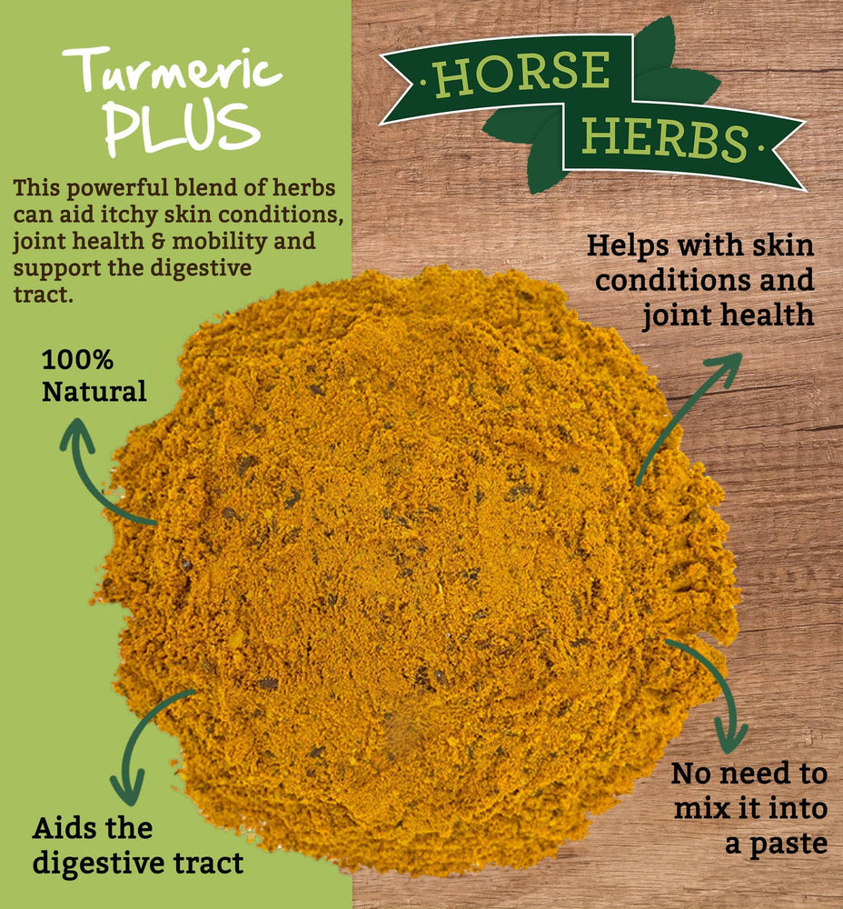 
                  
                    Horse Herbs Turmeric PLUS 3kg
                  
                