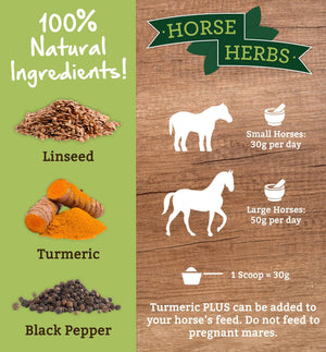 
                  
                    Horse Herbs Turmeric PLUS 3kg
                  
                