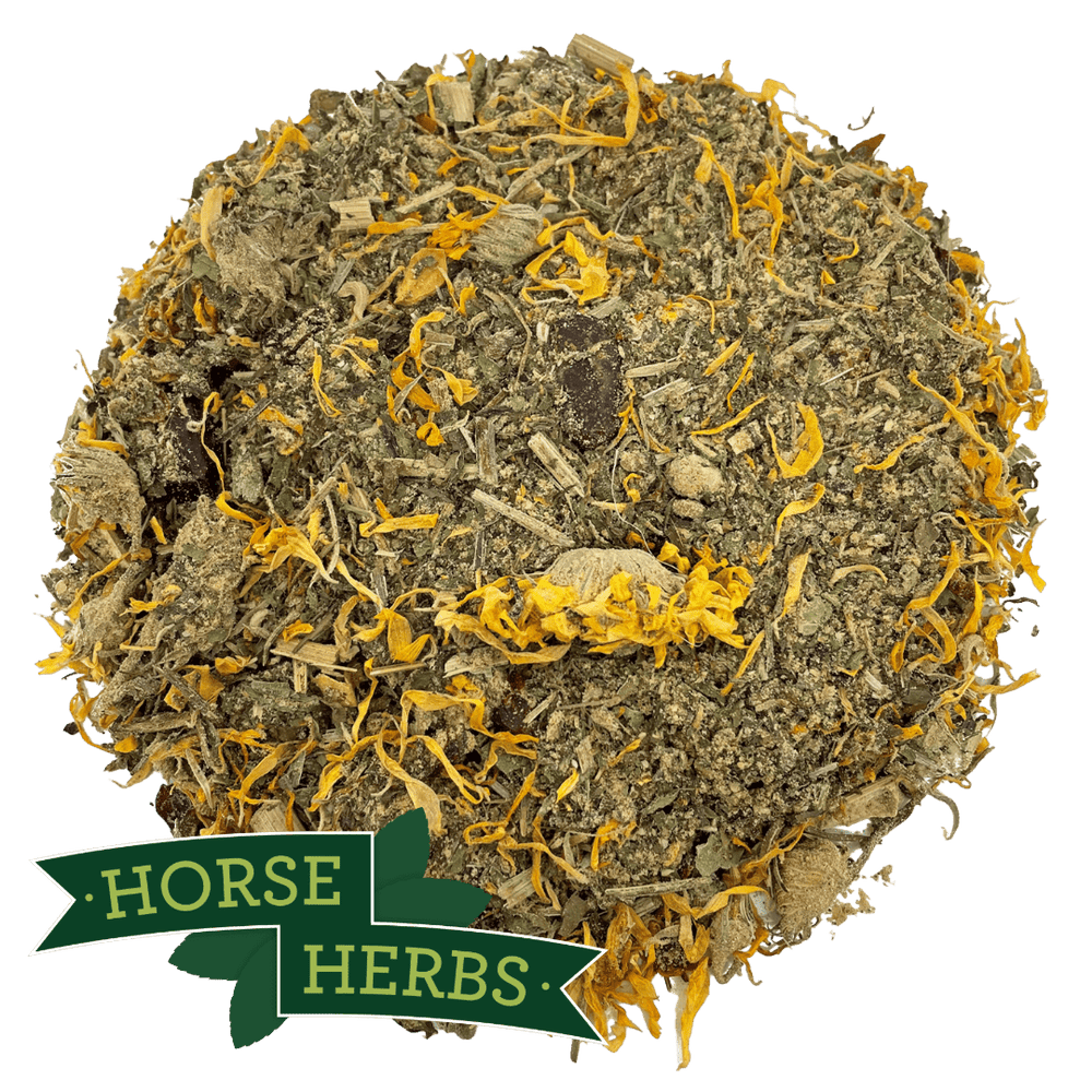 Horse Herbs Winter Support