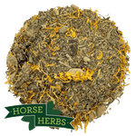 Horse Herbs Winter Support