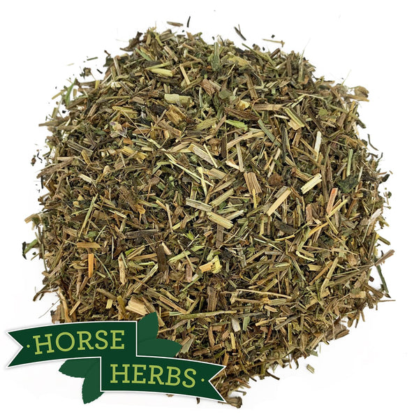 Cleavers for Horses | Lymphatic & Urinary Systems | Horse Herbs