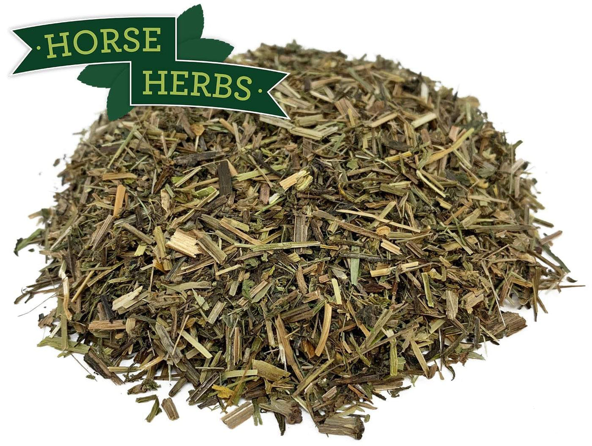 Cleavers for Horses | Lymphatic & Urinary Systems | Horse Herbs