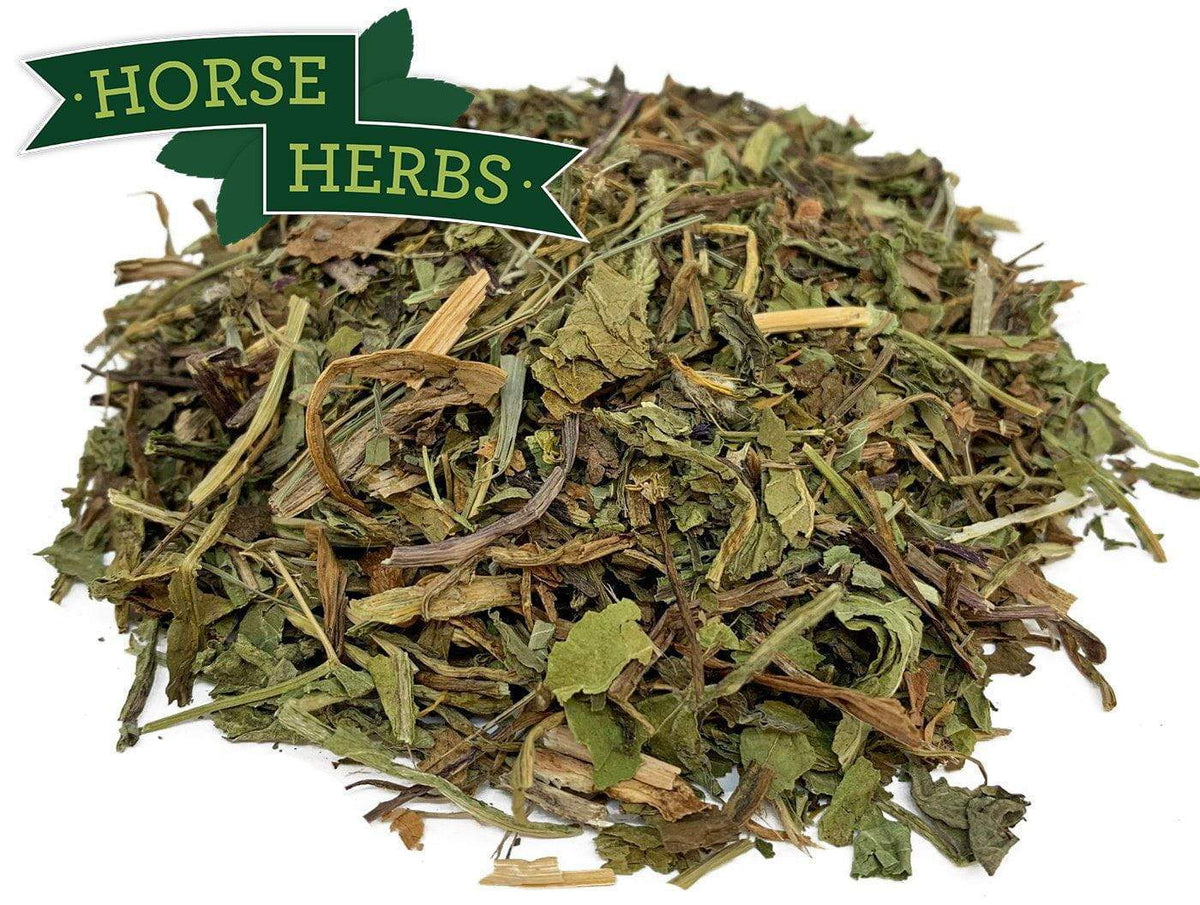 Horse Herbs Dandelion Leaf Cut